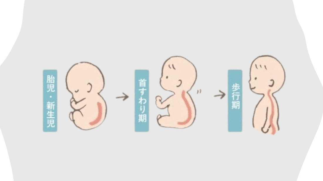 「赤ちゃんのCカーブで姿勢が悪くなる？」実際にあった相談より